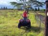 Big Island ATV Tour